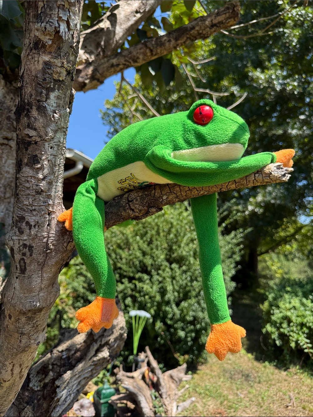 The Treehouse Club > Orange and Green Big Boy Frog.